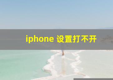 iphone 设置打不开